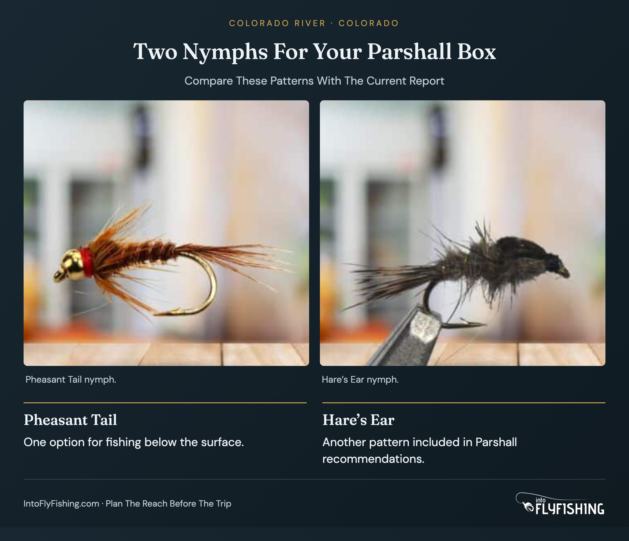 Two Nymphs For Your Parshall Box: Pheasant Tail. One option for fishing below the surface.; Hare’s Ear. Another pattern included in Parshall recommendations.