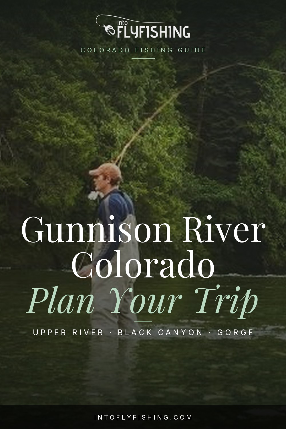 Gunnison River Colorado fishing guide title over a photograph of an angler casting while wading.