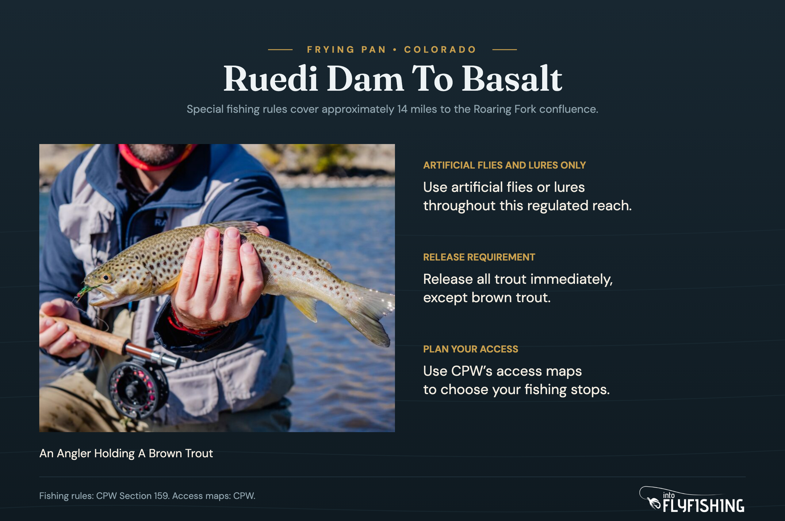 Brown trout photograph beside the artificial-only rule, brown-trout release exception, and advice to consult CPW access maps.