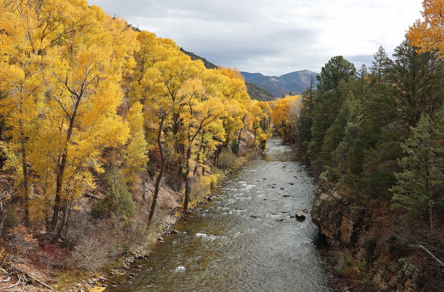 The Roaring Fork River viewed upstream from the Dolores Stutsman Bridge
