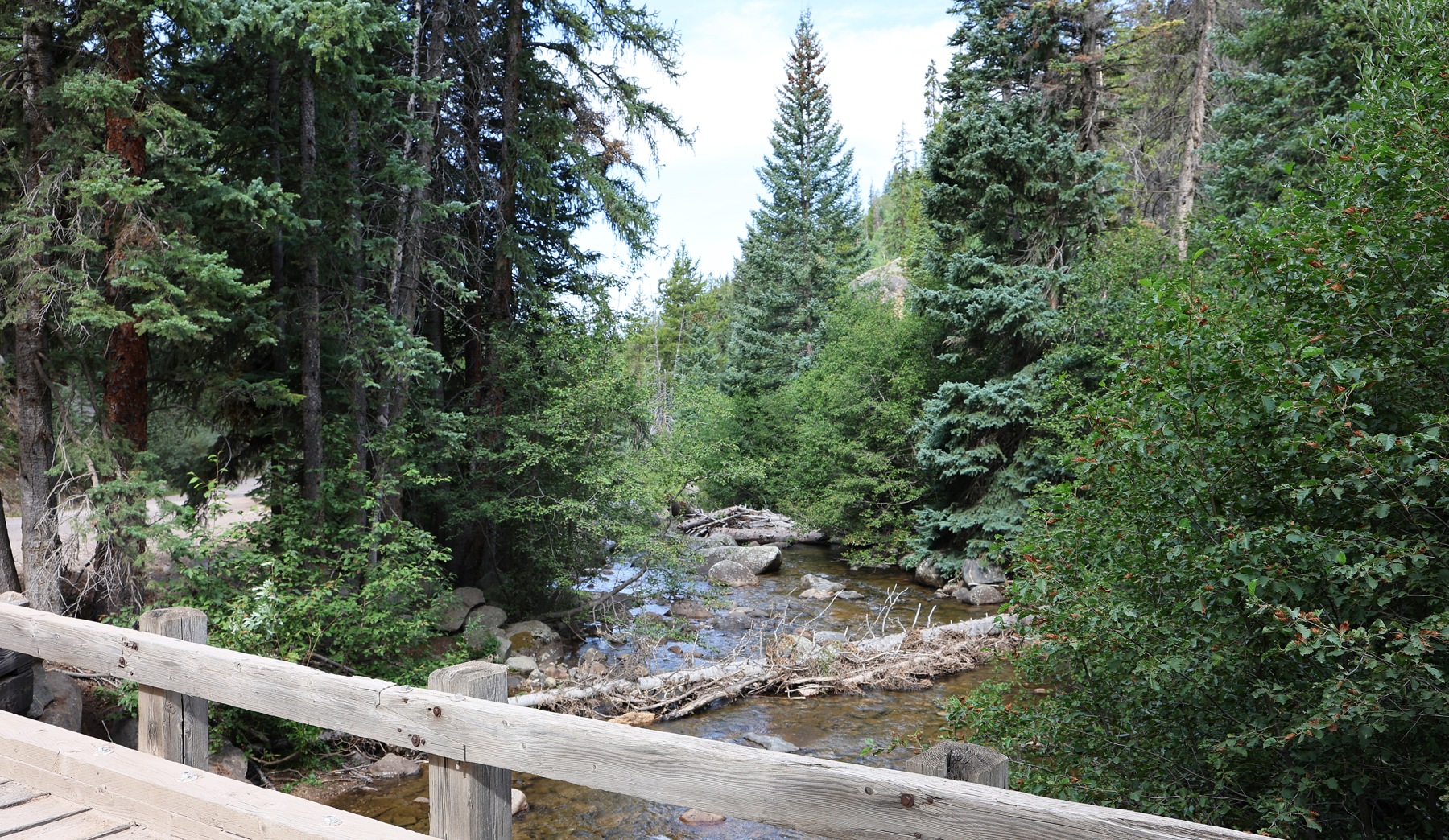 The Roaring Fork River viewed downstream from Lincoln Creek Road in Pitkin County, Colorado