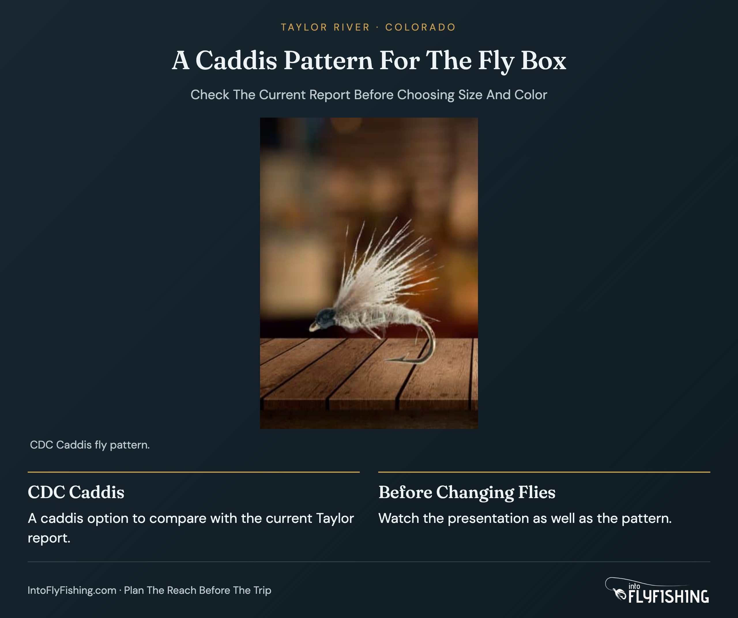 A Caddis Pattern For The Fly Box: CDC Caddis. A caddis option to compare with the current Taylor report.; Before Changing Flies. Watch the presentation as well as the pattern.