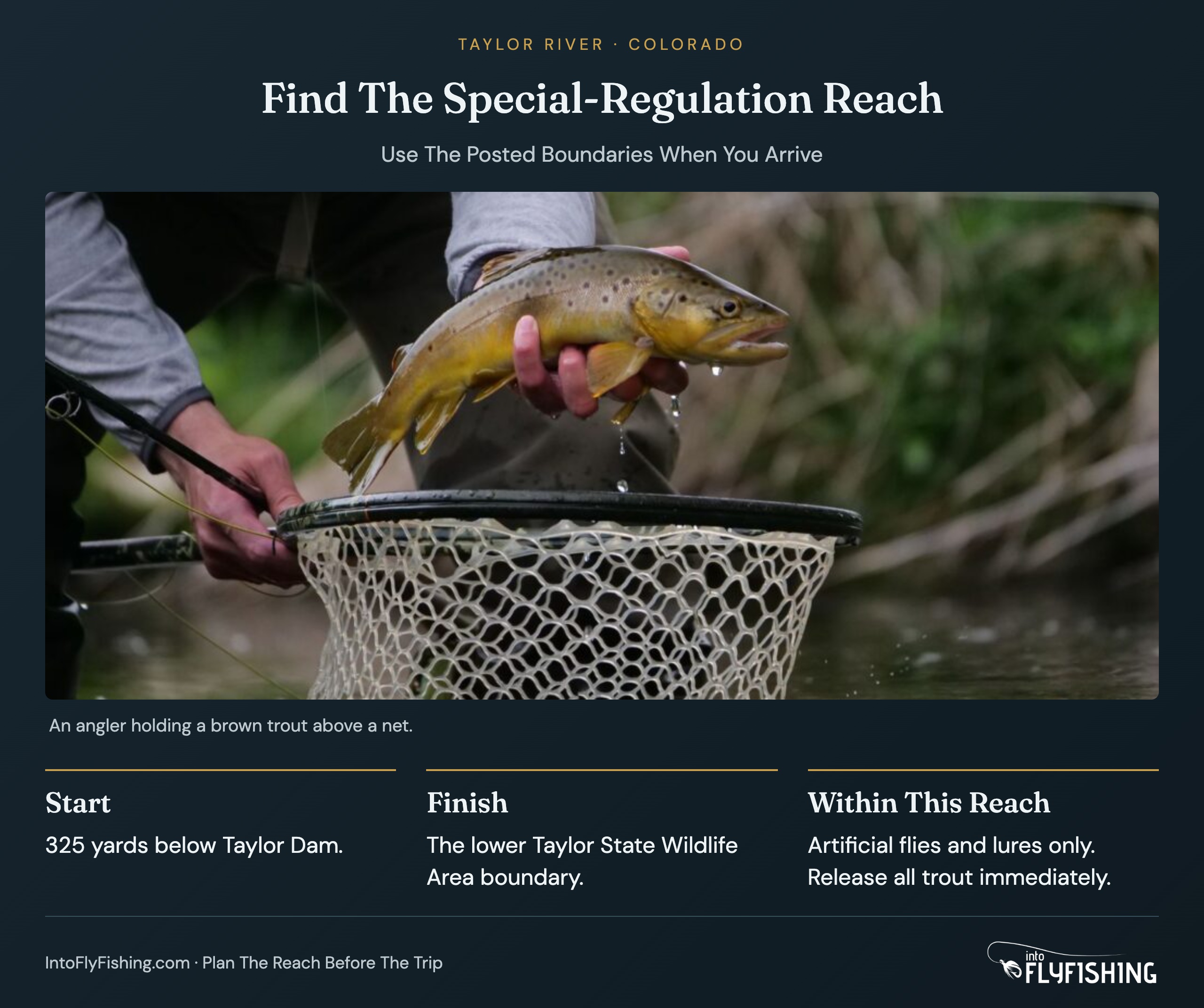 Find The Special-Regulation Reach: Start. 325 yards below Taylor Dam.; Finish. The lower Taylor State Wildlife Area boundary.; Within This Reach. Artificial flies and lures only. Release all trout immediately.