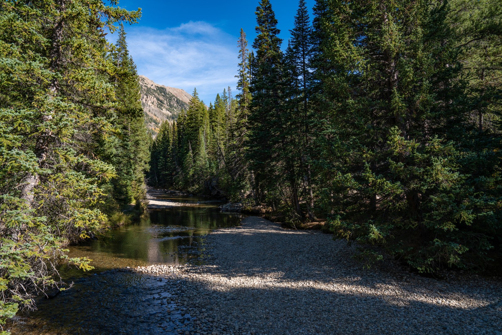 The Roaring Fork River at Grottos Day Use Area near Aspen, Colorado