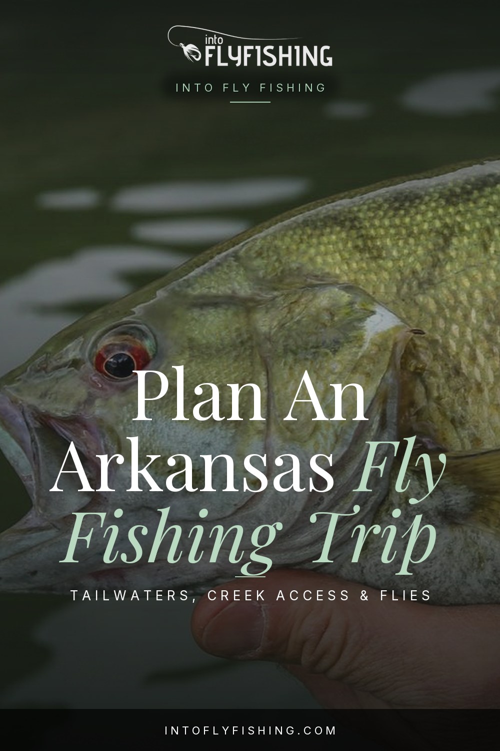 Arkansas fly fishing trip guide pin over a close-up photograph of a smallmouth bass.