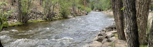 The Big Thompson River flowing through Estes Park, looking west.