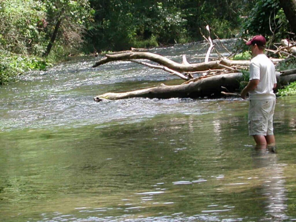 Fly angler standing in a shallow wooded stream