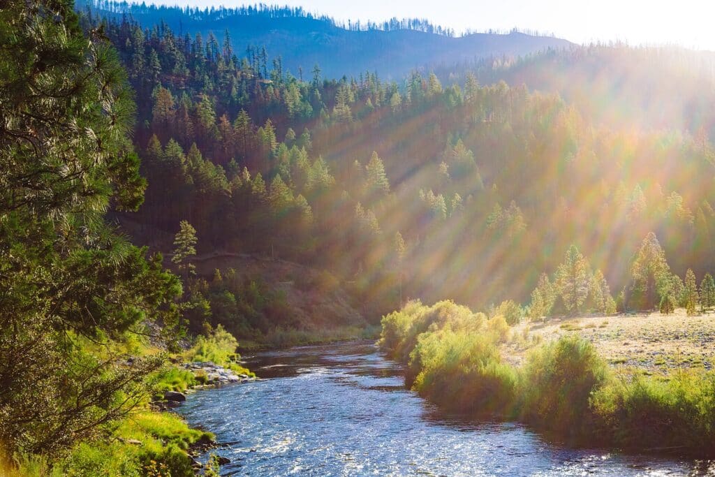 Klamath River flowing past a forested bank in Siskiyou County, California