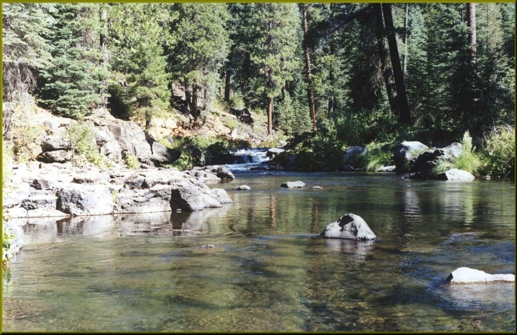 Clear McCloud River flowing past rocks and conifers in northern California