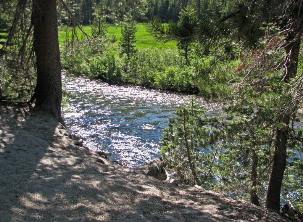 San Joaquin River flowing through forest at Devils Postpile National Monument