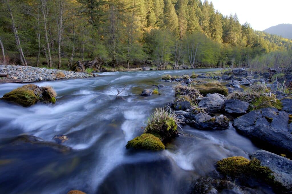 Trinity River flowing past rocks and forested banks in Northern California