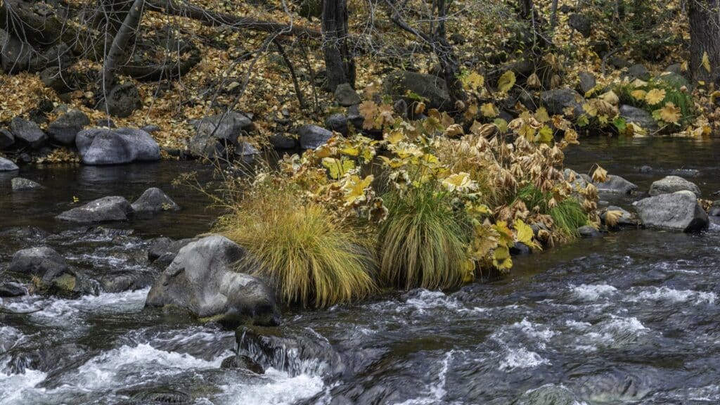 Rocky Upper Sacramento River flowing through the Dunsmuir Botanical Garden