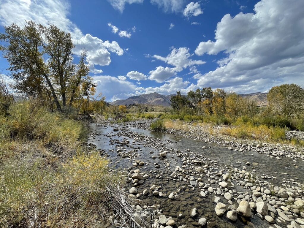 West Walker River flowing through a rocky reach at Coleville