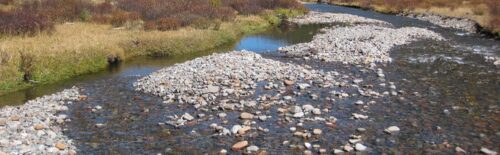 The Conejos River east of the South San Juan Wilderness boundary in Conejos County, Colorado.