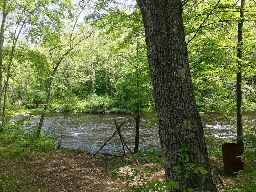 The Farmington River bank in Nepaug State Forest, Connecticut.