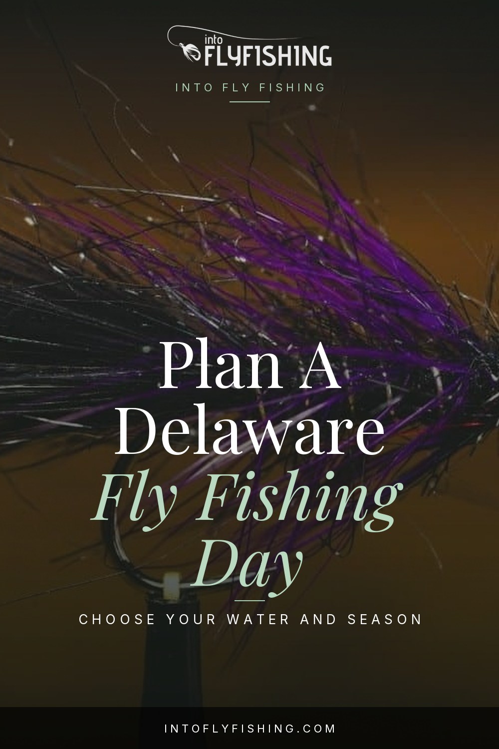 Delaware fly fishing day guide pin over a photograph of a purple and black Woolly Bugger fly in a vise.
