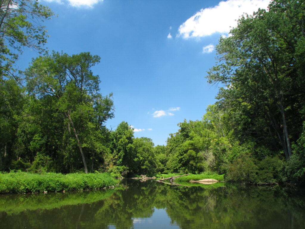 White Clay Creek in Newark near the former Curtis Paper Mill.