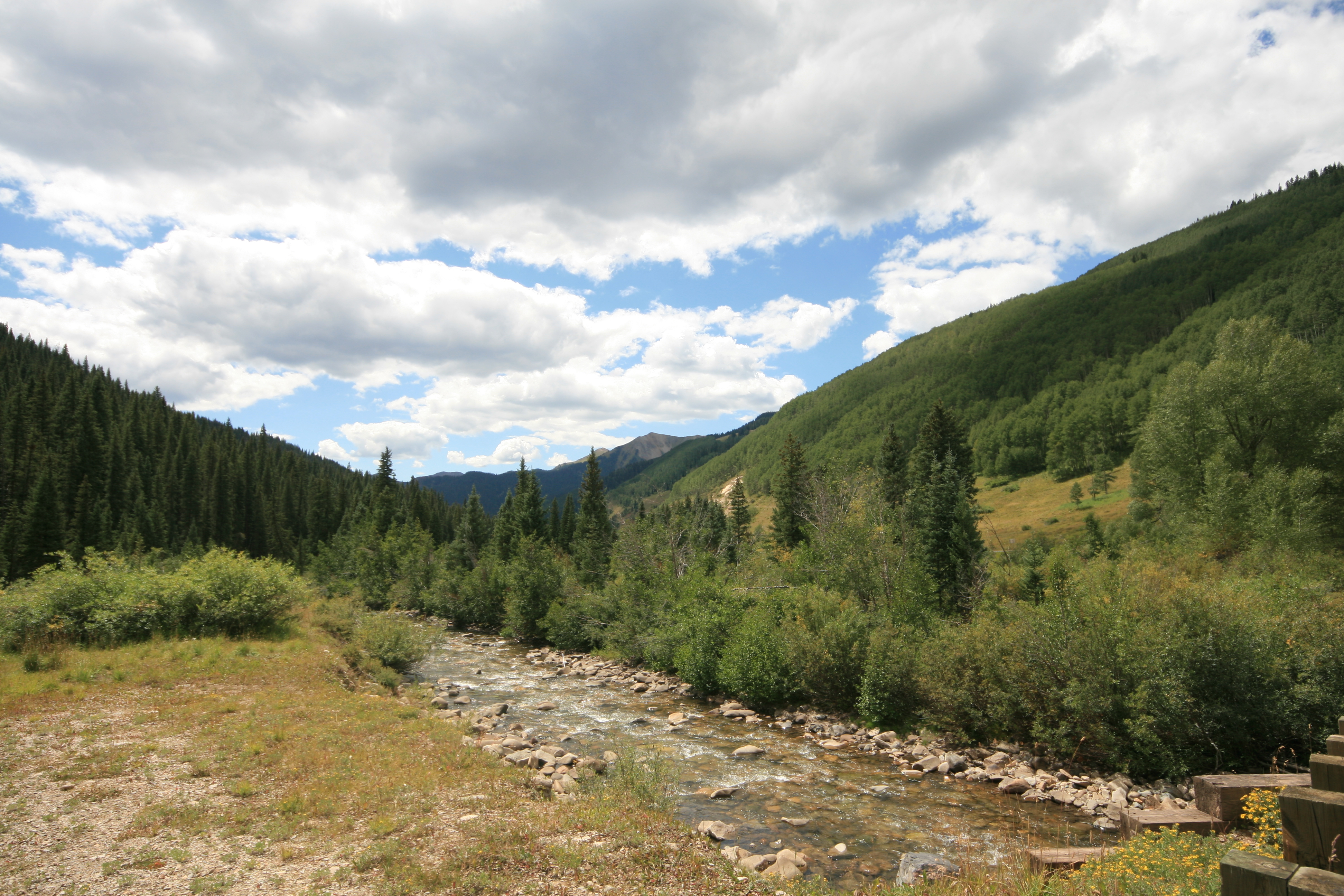 The Dolores River near Rico, Colorado.
