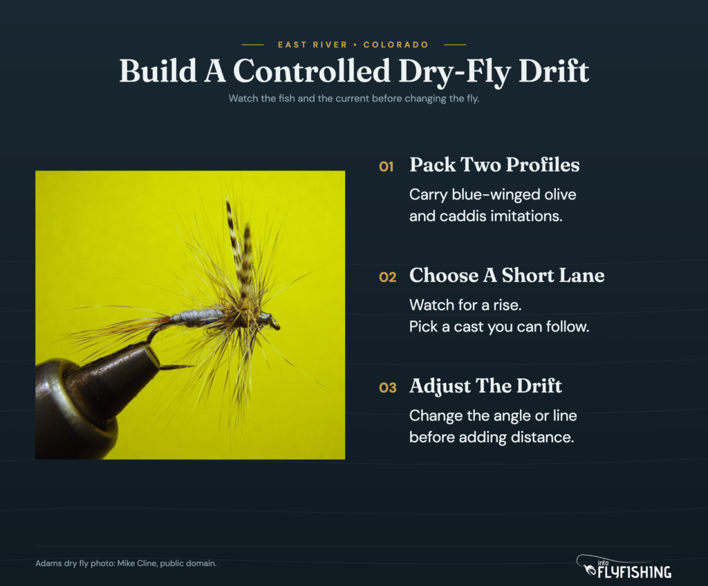 East River dry-fly planning graphic with an Adams dry fly photo and advice on fly choice and controlled drifts.