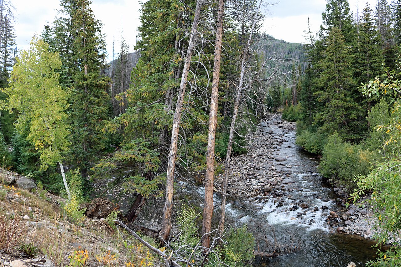 Confluence of the Elk River and South Fork Elk River in Colorado.