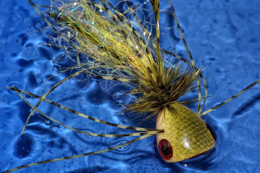 A bass popper fly.