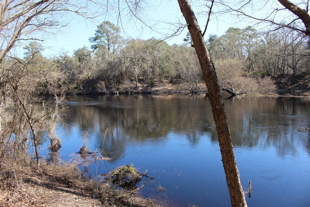The Suwannee River near Suwannee Springs, Florida.