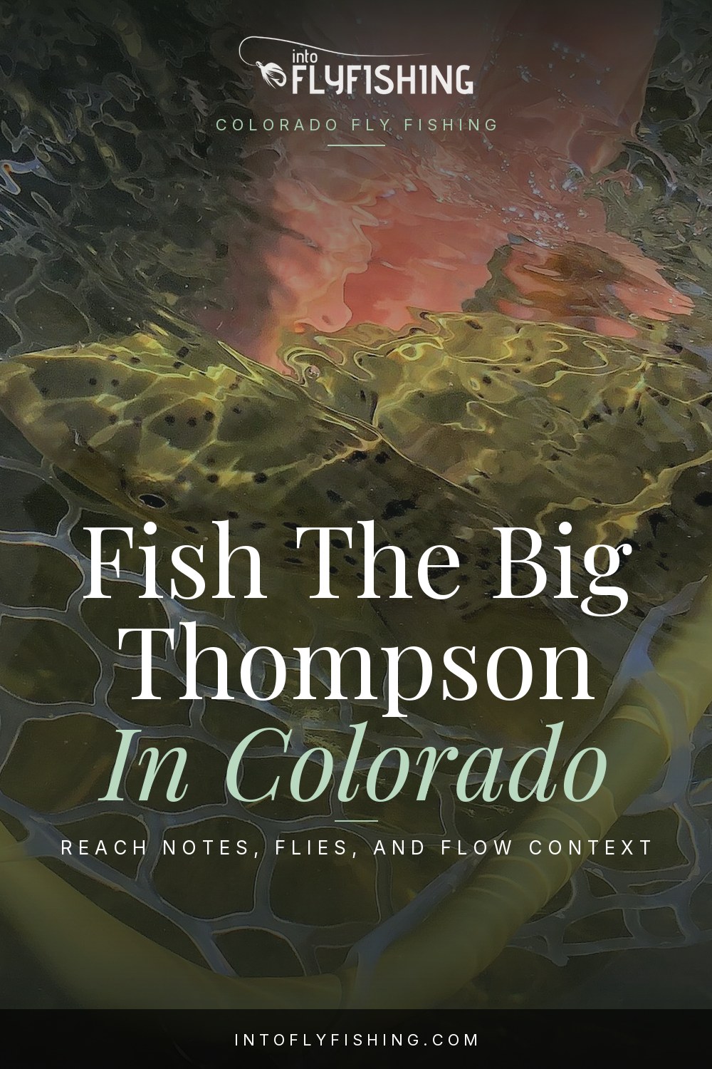 Big Thompson River Colorado fishing guide text over a trout in a landing-net photograph from Seedskadee National Wildlife Refuge, Wyoming.