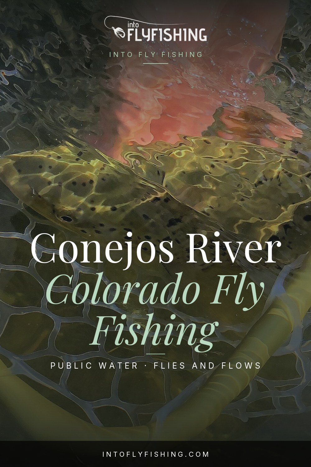 Conejos River Colorado fly fishing guide text over a trout resting in a landing net.