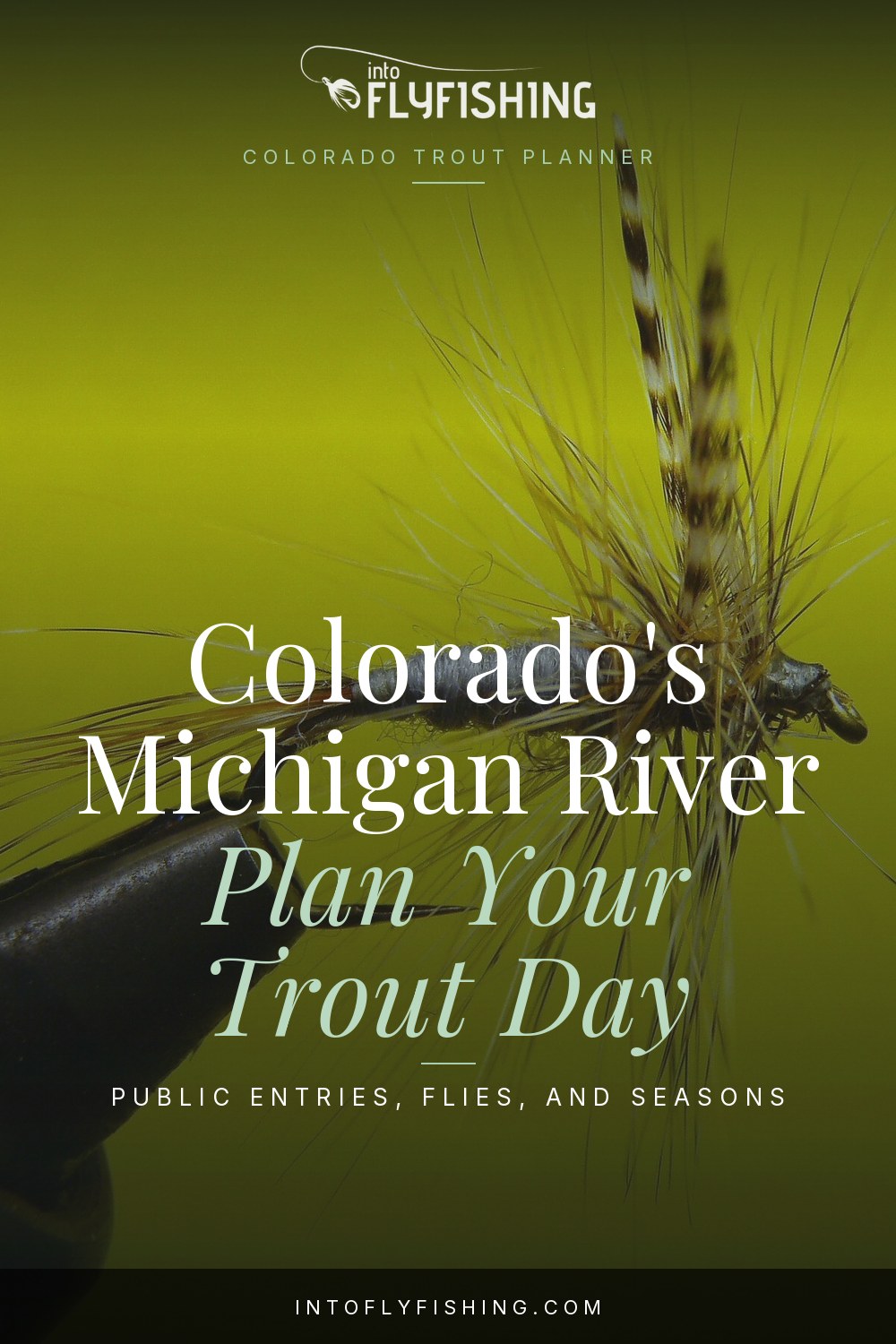Colorado Michigan River trout trip planner text over a close-up photograph of an Adams dry fly.