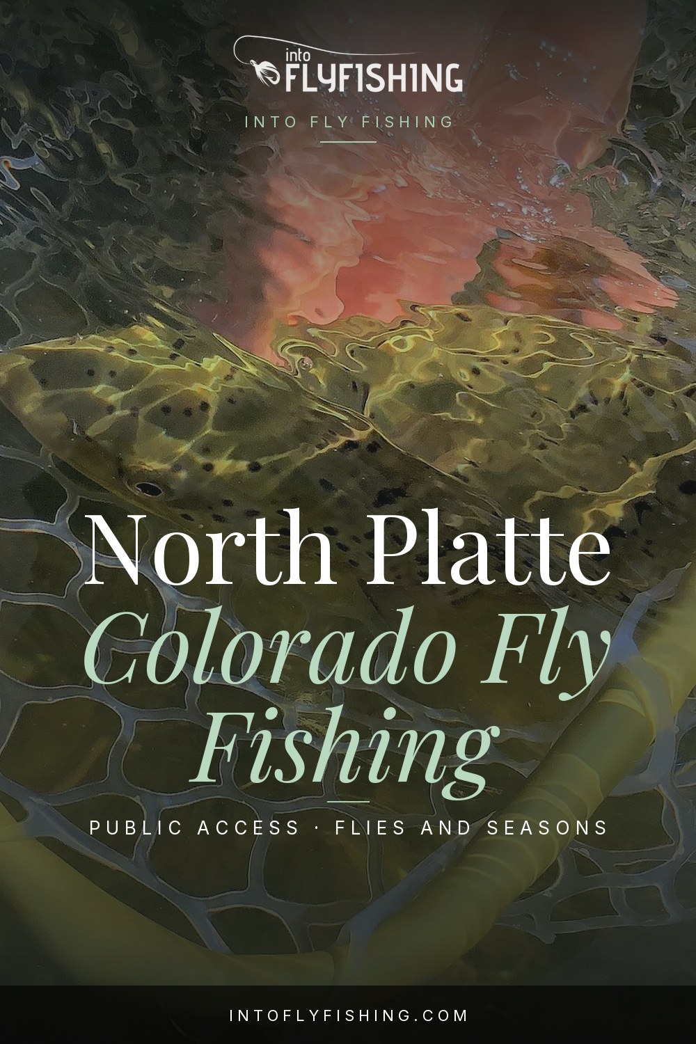 Colorado North Platte guide pin over a close-up photograph of a trout in a landing net.