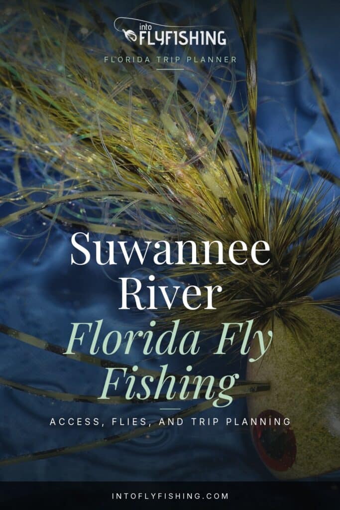 Suwannee River Florida fly fishing guide text over a photograph of a bass popper fly.