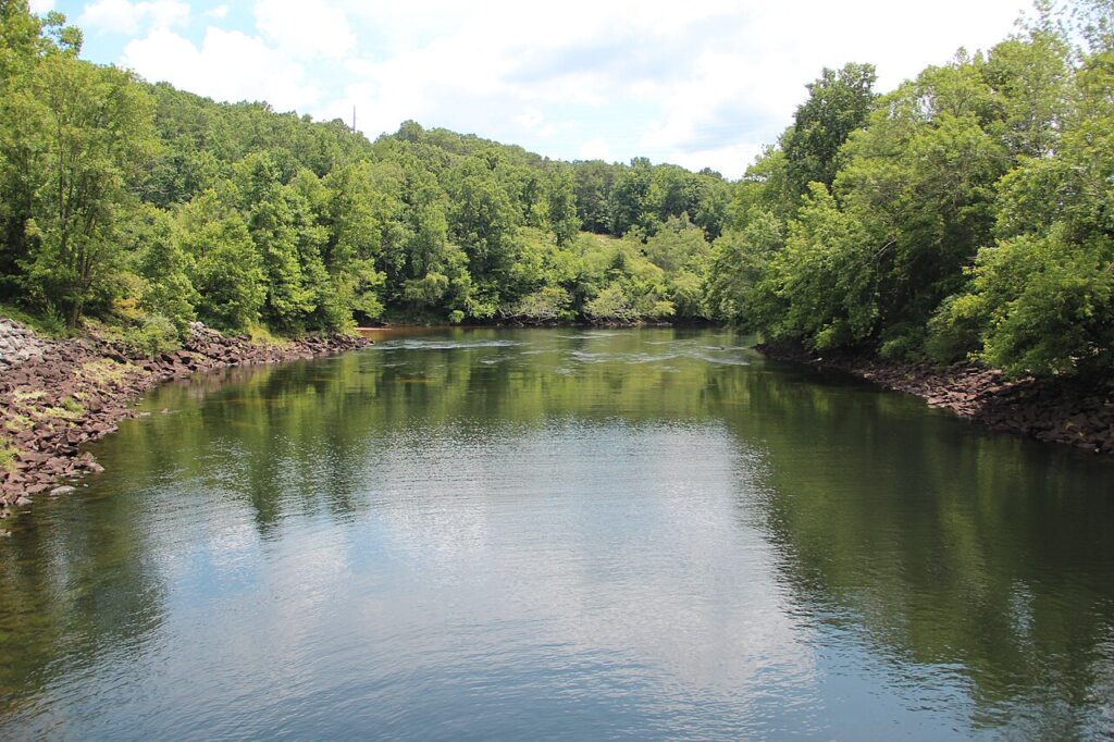 Chattahoochee River flowing below wooded banks near Buford Dam