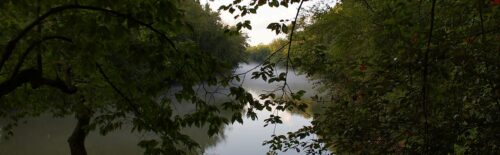Misty Chattahoochee River bordered by trees