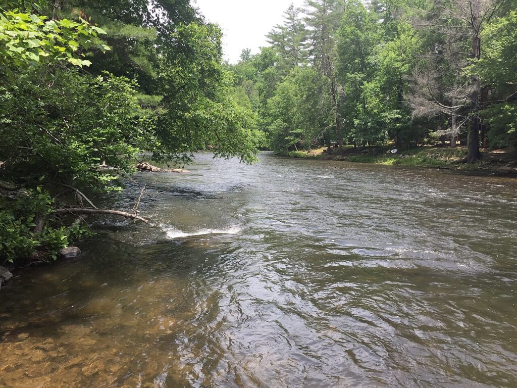 Toccoa River flowing through wooded Fannin County