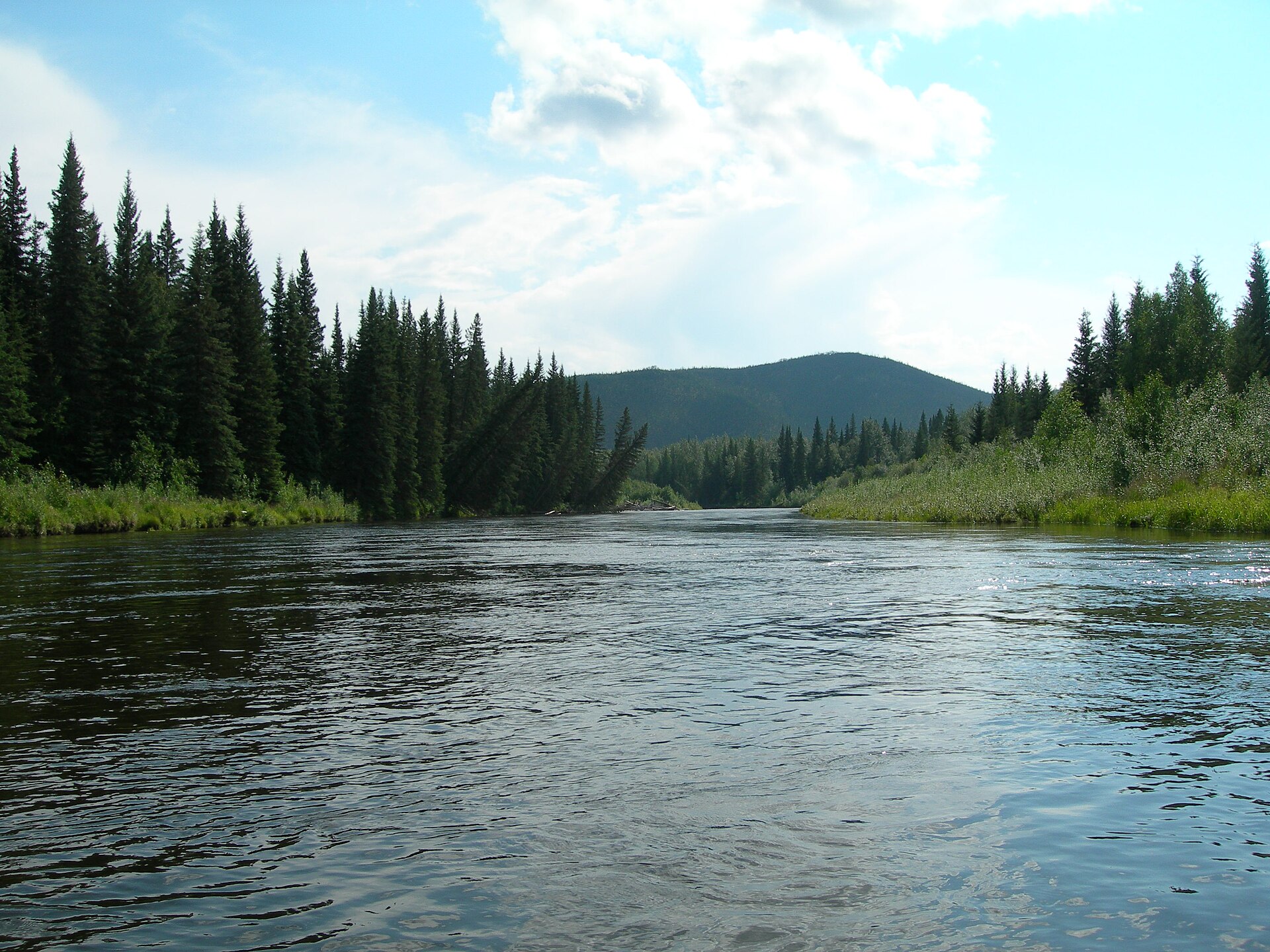 The Chena River flowing between forested banks in Alaska.