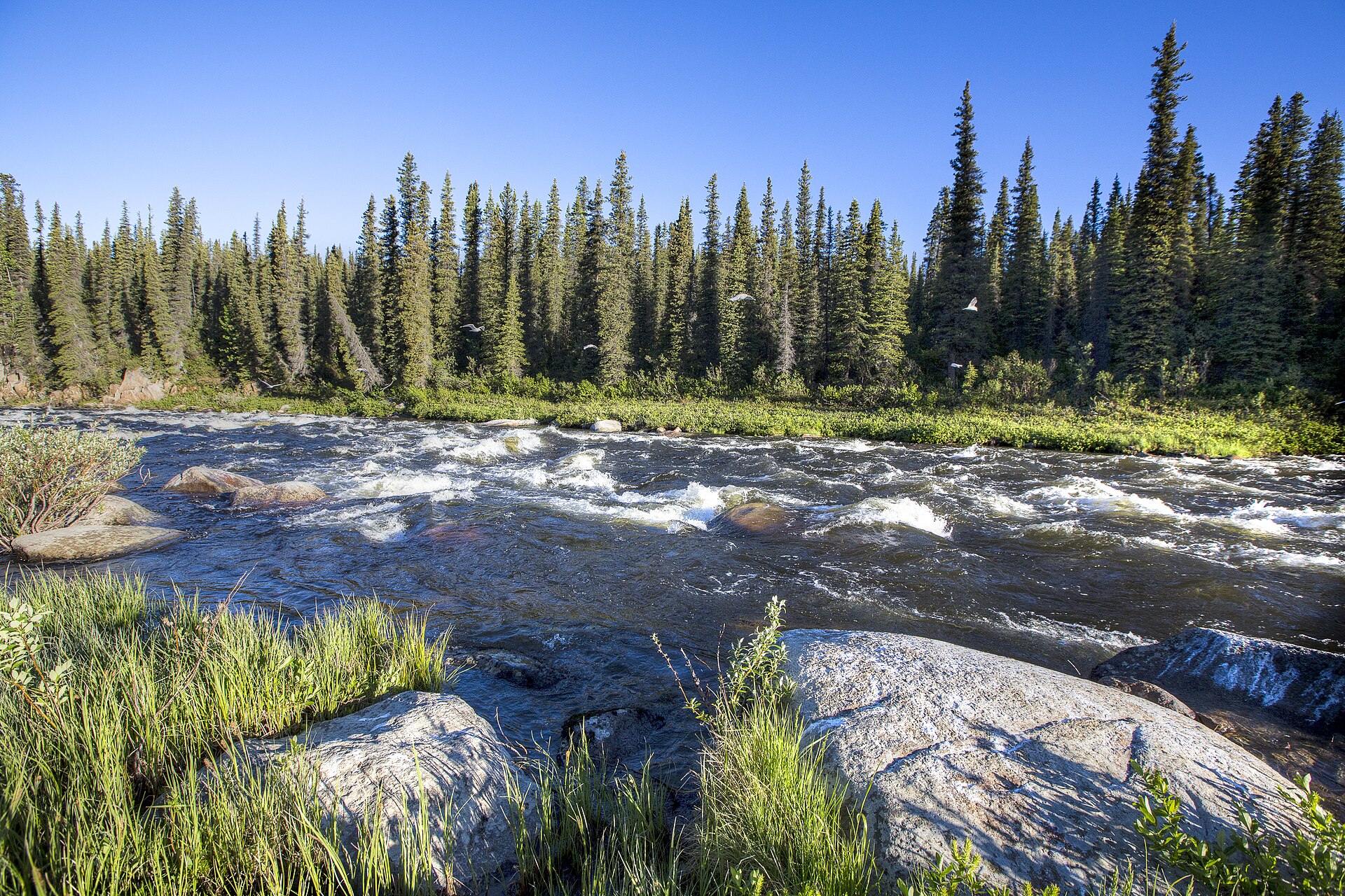 Rocky rapids on the Gulkana River in Alaska.
