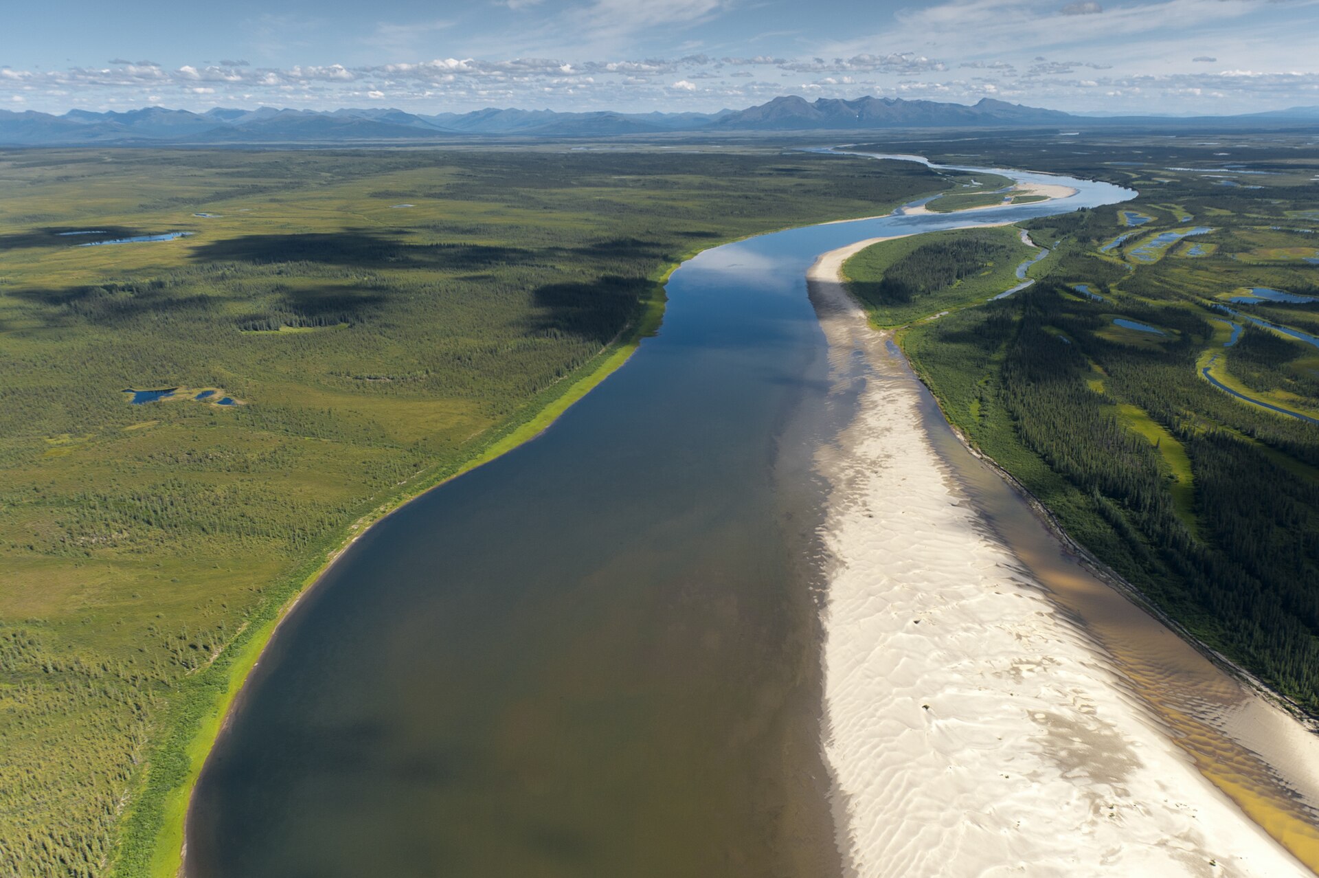 An aerial view of the Kobuk River and its broad sandbars.
