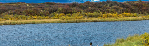 An angler fly fishing at Tangle Lakes beneath the Alaska Range