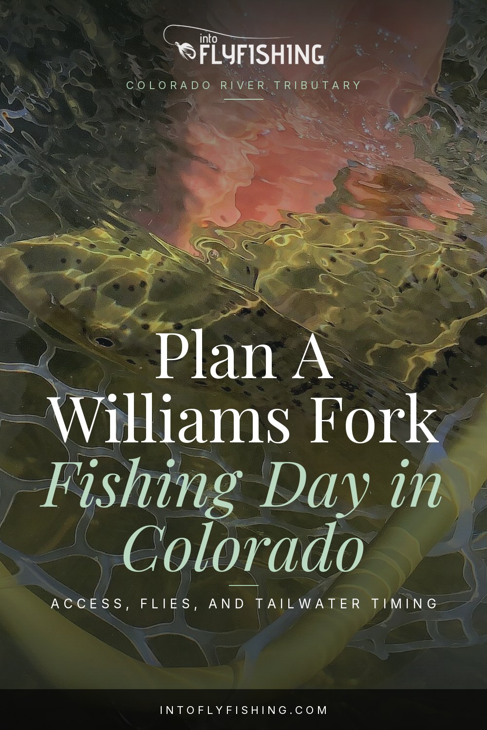 Williams Fork River Colorado fishing guide pin over a general trout-in-net photograph.