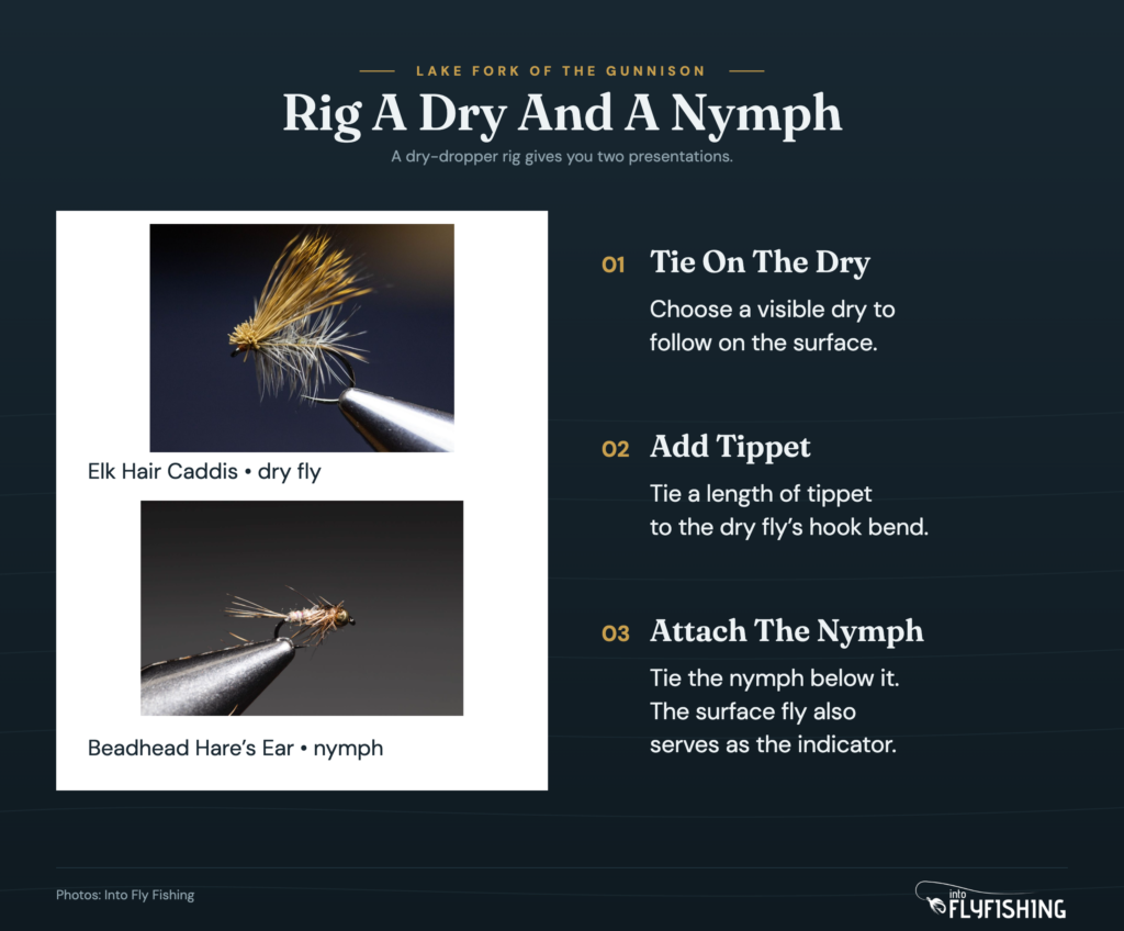 Dry-dropper construction shown with real Elk Hair Caddis and beadhead Hare’s Ear photographs: dry fly, tippet from hook bend, nymph below.