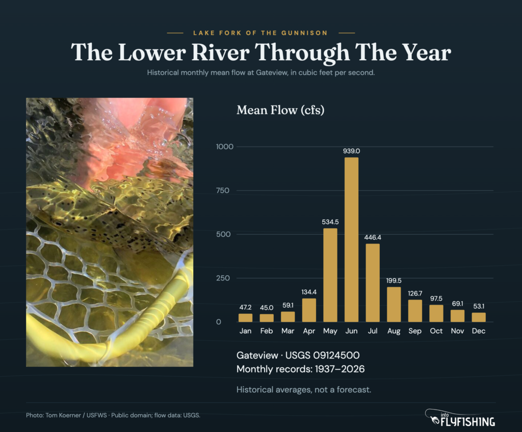 Historical Lake Fork flow chart at Gateview USGS 09124500 using monthly records from 1937 to 2026. June has the largest long-term monthly mean, 939.0 cfs. Values describe this lower-river station.