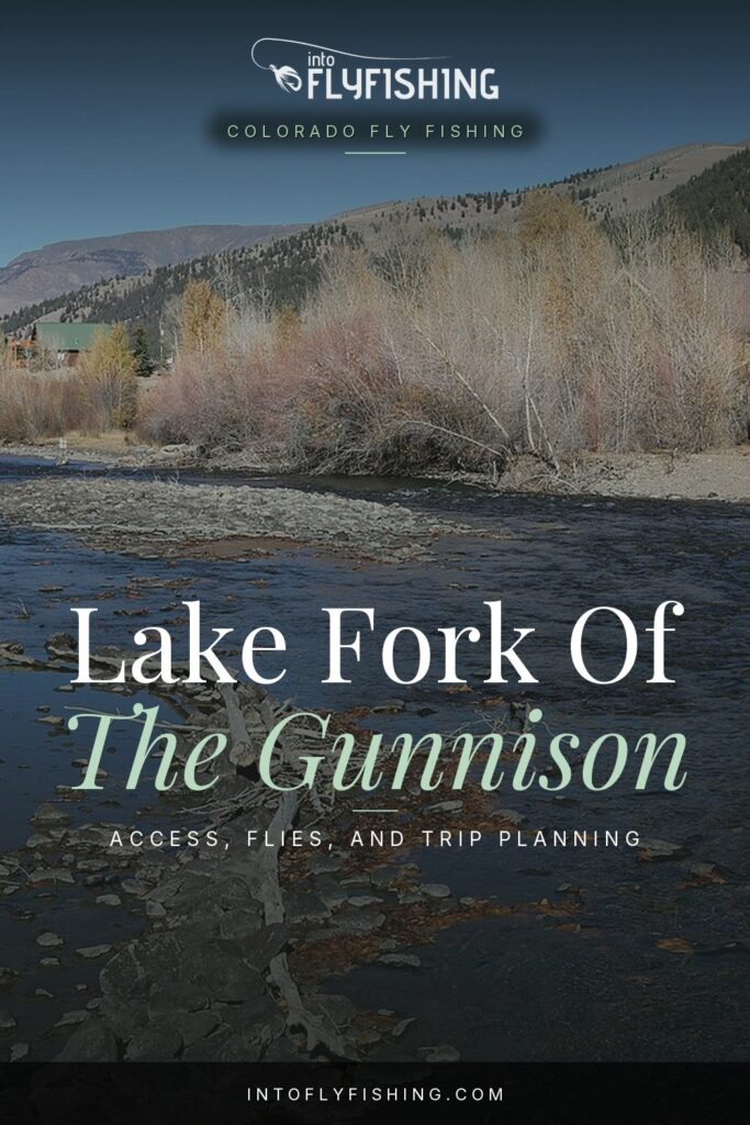 Lake Fork of the Gunnison fly fishing guide text over an autumn photograph of the river in Lake City, Colorado.