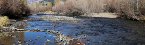 The Lake Fork Gunnison River flowing past autumn trees in Lake City, Colorado.