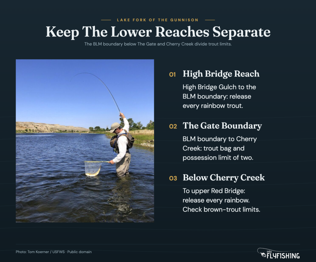 Lower Lake Fork regulation boundaries: High Bridge Gulch, the BLM boundary below The Gate, Cherry Creek, and upper Red Bridge. Read the article for full limits.