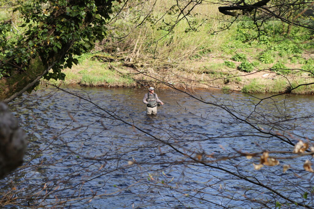 Angler fishing a wooded stream