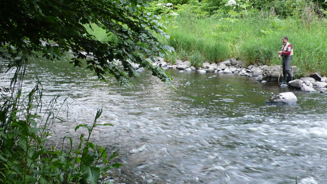 An angler beside a small wooded river