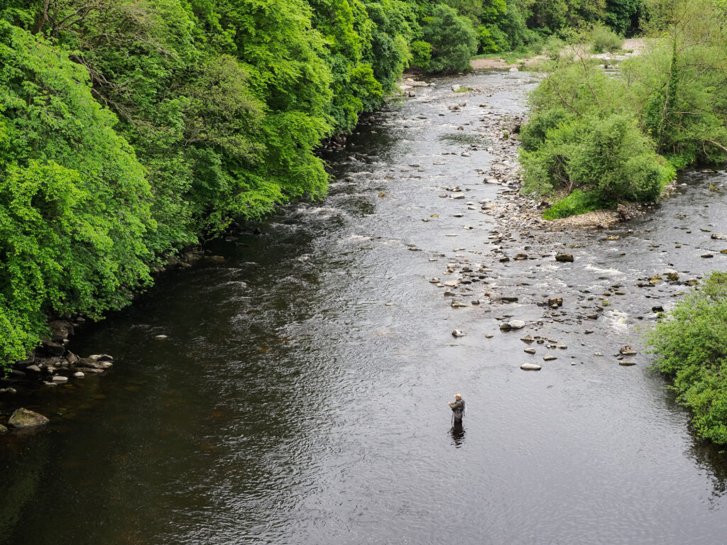 Angler wading in a narrow green river