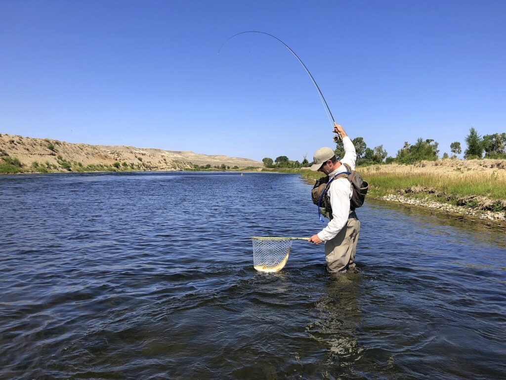 Fly angler wading in a broad river