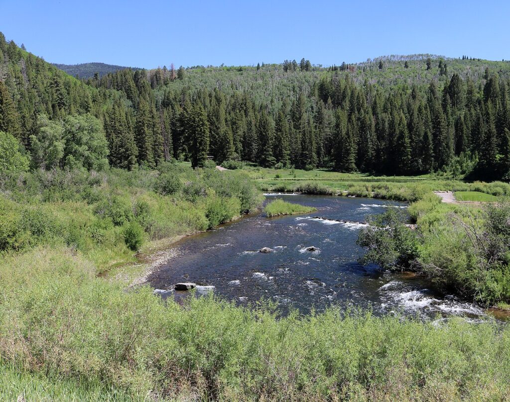 North Fork White River flowing through a forested valley in Colorado.