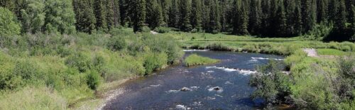North Fork White River flowing through a forested valley in Colorado.
